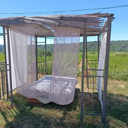 Veritable Mas Provencal Avec 3 En Pleine Nature דירה